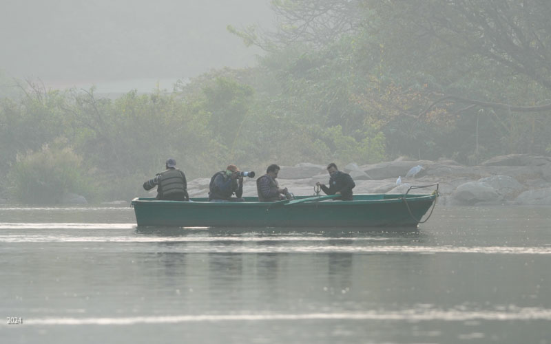 Photographers in morning mist