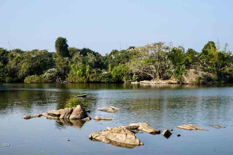 View of the bird islands from the boat jetty